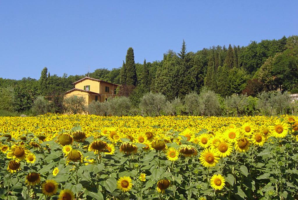 I Casali Del Trebbiolo Villa Molino del Piano Exterior photo